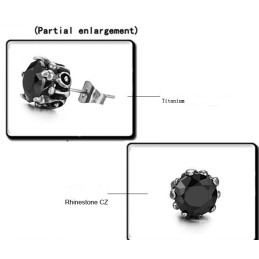 Betrouwbare Reputatie Zwarte Titanium Oorbellen Met Diamant