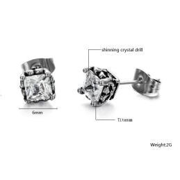 Stabiele Kwaliteit Unisex Titanium Oorbellen Met Diamant