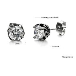 Breed Scala Aan Unisex Titanium Oorbellen