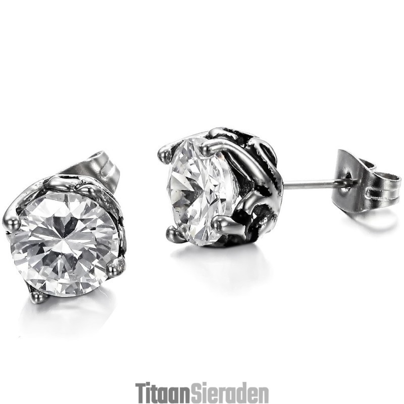 Compleet In Specificaties Unisex Titanium Oorbellen Compleet In Specificaties Unisex Titanium Oorbellen