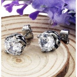 Compleet In Specificaties Unisex Titanium Oorbellen