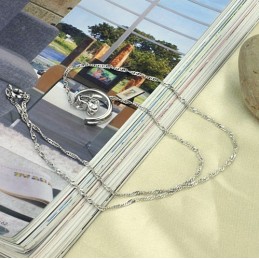 Compleet In Specificaties: Dames Platina Plating Titanium Ketting Met Strass