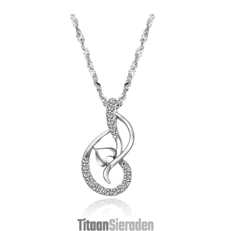 Hoogwaardige Dames Platina Titanium Ketting Met Strass