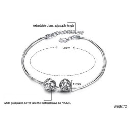Compleet In Specificaties Vrouwelijke Holle Bolvorm Platina Geplateerde Titanium Enkelband