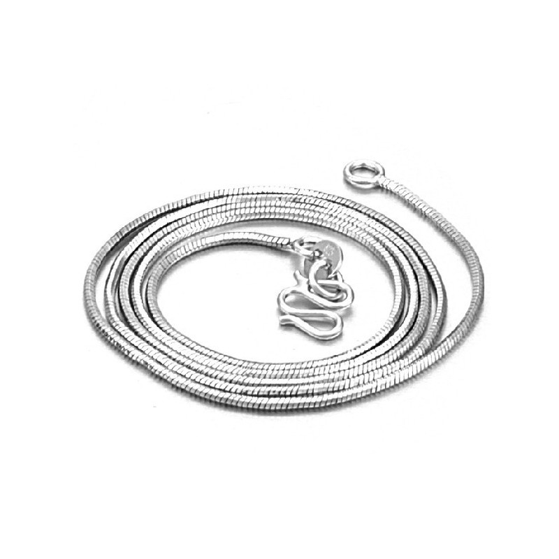 Compleet In Specificaties Vrouwelijke Slang Platina Plating Titanium Ketting