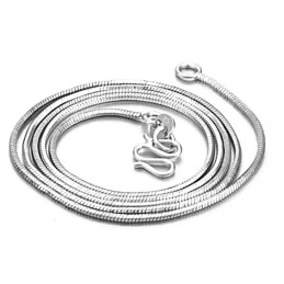 Compleet In Specificaties Vrouwelijke Slang Platina Plating Titanium Ketting