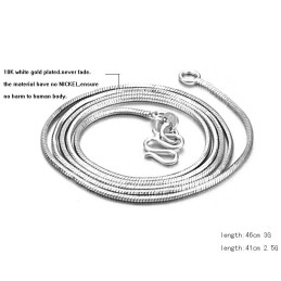 Compleet In Specificaties Vrouwelijke Slang Platina Plating Titanium Ketting