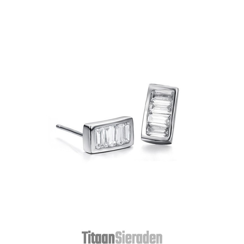 Hoogwaardige Dames Platina Titanium Oorbellen Met Diamant Hoogwaardige Dames Platina Titanium Oorbellen Met Diamant