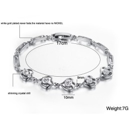 Kwaliteit En Kwantiteit Gegarandeerde Vrouwelijke Platina Titanium Armband Met Diamant