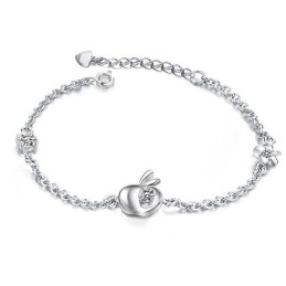 Breed Scala Aan Vrouwelijke Appelvormige Platina Titanium Armband Met Diamant