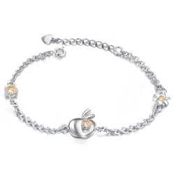Breed Scala Aan Vrouwelijke Appelvormige Platina Titanium Armband Met Diamant