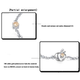 Breed Scala Aan Vrouwelijke Appelvormige Platina Titanium Armband Met Diamant