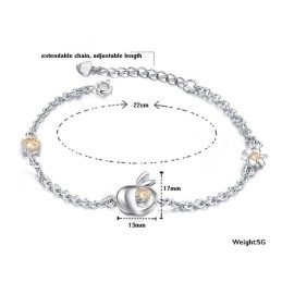 Breed Scala Aan Vrouwelijke Appelvormige Platina Titanium Armband Met Diamant