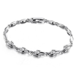 Gebruiksvriendelijke Vrouwelijke Platina Titanium Armband