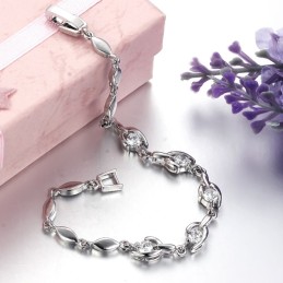 Gebruiksvriendelijke Vrouwelijke Platina Titanium Armband