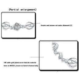 De Koningin Van De Kwaliteit, Vrouwelijke Dolfijnvorm, Platina Geplateerde Titanium Armband