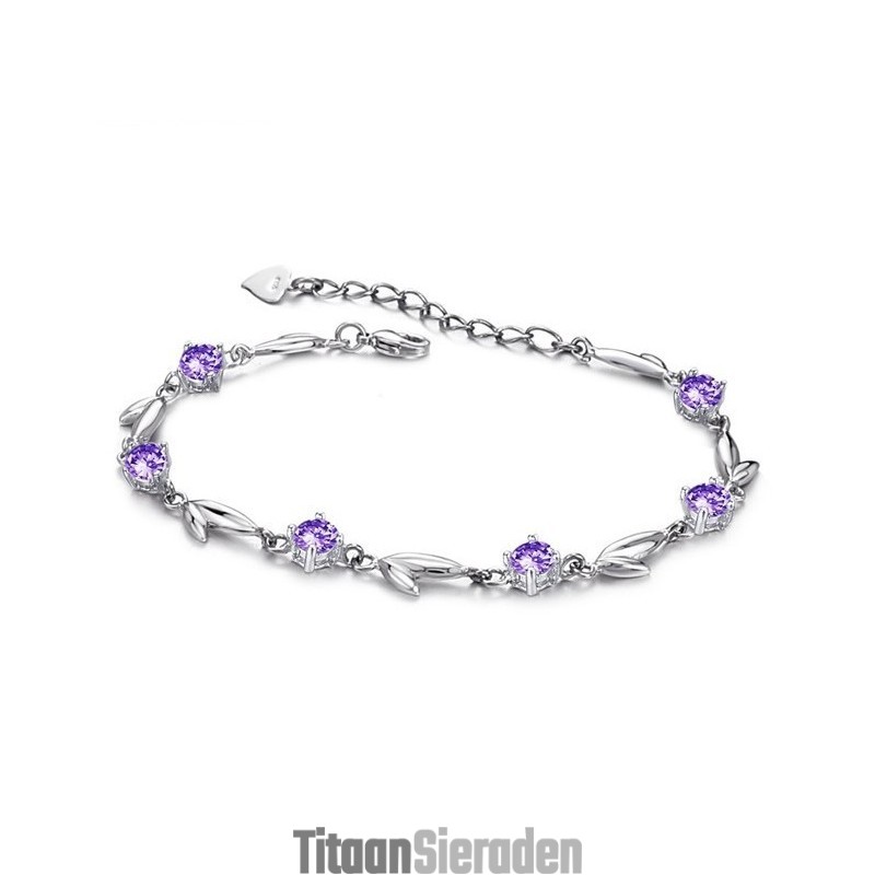 Wereldwijd Bekende Damesarmband Van Paars Platina Met Diamant Van Titanium Wereldwijd Bekende Damesarmband Van Paars Platina Met Diamant Van Titanium