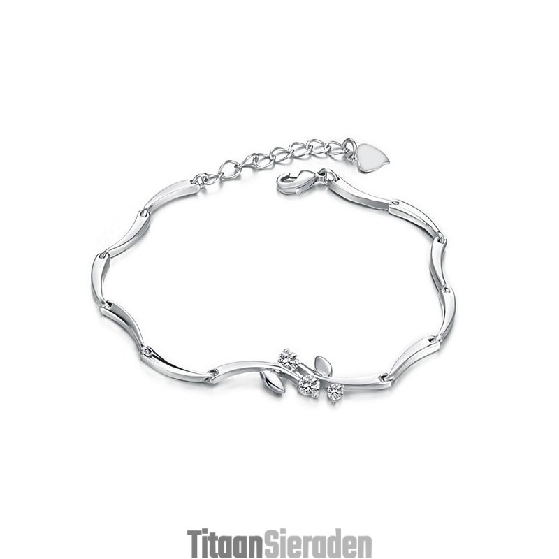 Betrouwbare Kwaliteit Vrouwelijke Platina Titanium Armband Met Strass