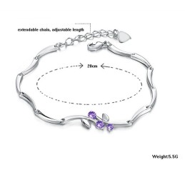Wereldwijd Bekende Platina-Geplateerde Titanium Armband Voor Dames Met Diamant