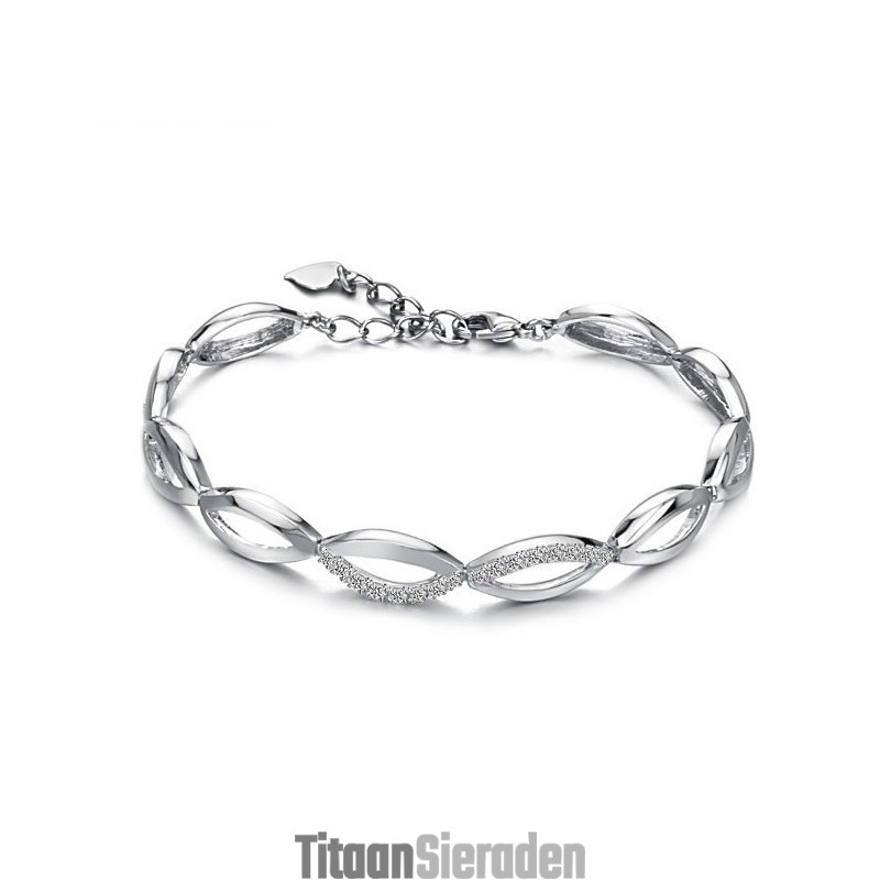 De Koningin Van De Kwaliteit Van Een Platina-Geplateerde Titanium Armband Voor Dames Met Diamant De Koningin Van De Kwaliteit Van Een Platina-Geplateerde Titanium Armband Voor Dames Met Diamant