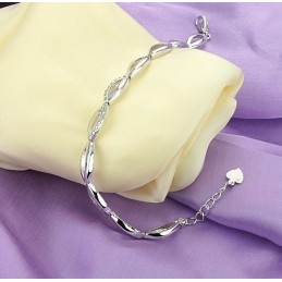 De Koningin Van De Kwaliteit Van Een Platina-Geplateerde Titanium Armband Voor Dames Met Diamant