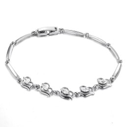 Goed Verkocht Over De Hele Wereld: Vrouwelijke Platina Titanium Armband