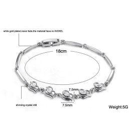 Goed Verkocht Over De Hele Wereld: Vrouwelijke Platina Titanium Armband