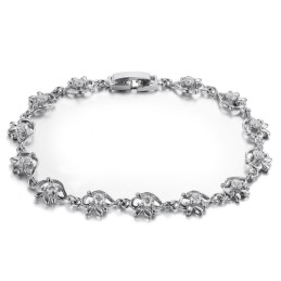Wereldwijd Bekende Platina-Geplateerde Titanium Armband Voor Dames