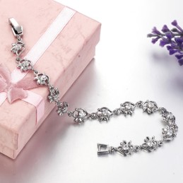 Wereldwijd Bekende Platina-Geplateerde Titanium Armband Voor Dames