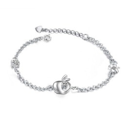 Compleet In Specificaties Vrouwelijke Appelvorm Platina Titanium Armband Met Diamant