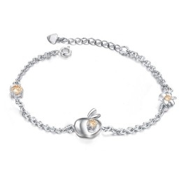 Compleet In Specificaties Vrouwelijke Appelvorm Platina Titanium Armband Met Diamant