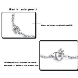 Compleet In Specificaties Vrouwelijke Appelvorm Platina Titanium Armband Met Diamant