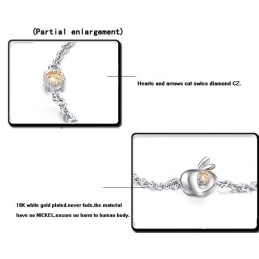 Compleet In Specificaties Vrouwelijke Appelvorm Platina Titanium Armband Met Diamant