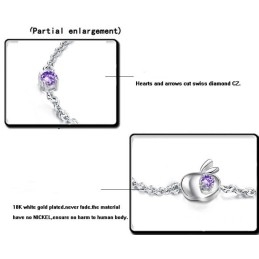 Compleet In Specificaties Vrouwelijke Appelvorm Platina Titanium Armband Met Diamant