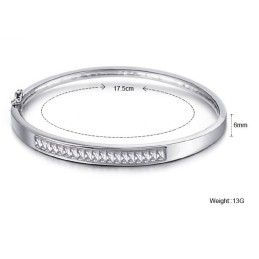 Betrouwbare Kwaliteit Vrouwelijke Allergievrije Platina Plating Titanium Armband Met Diamant