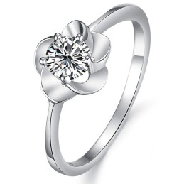 De Koningin Van De Hoogwaardige Damesmode Met Platina Plating En Titanium Ring