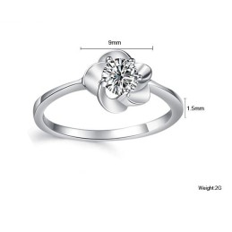 De Koningin Van De Hoogwaardige Damesmode Met Platina Plating En Titanium Ring