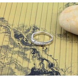 Hoogwaardige Vrouwelijke Platina Titanium Ring Met Strass