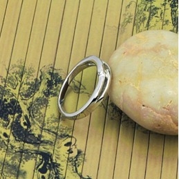 Kwaliteit En Kwantiteit Gegarandeerde Platina Plating Titanium Ring Voor Geliefden