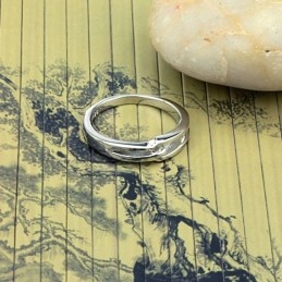 Kwaliteit En Kwantiteit Gegarandeerde Platina Plating Titanium Ring Voor Geliefden