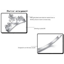 Wereldwijd Bekende Platina Titanium Ring Met Strass