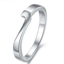De Koningin Van Hoogwaardige Platina-Plating Titanium Ringen Voor Geliefden