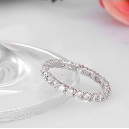Wereldwijd Bekende Vrouwelijke Platina-Geplateerde Titanium Ring
