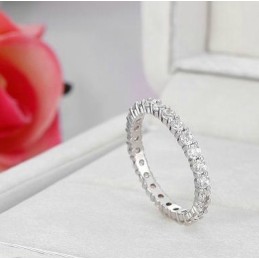 Wereldwijd Bekende Vrouwelijke Platina-Geplateerde Titanium Ring