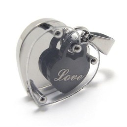 Liefdeshart In Hart Mode Titanium Hanger - Gratis Chian