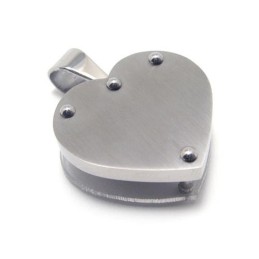 Liefdeshart In Hart Mode Titanium Hanger - Gratis Chian
