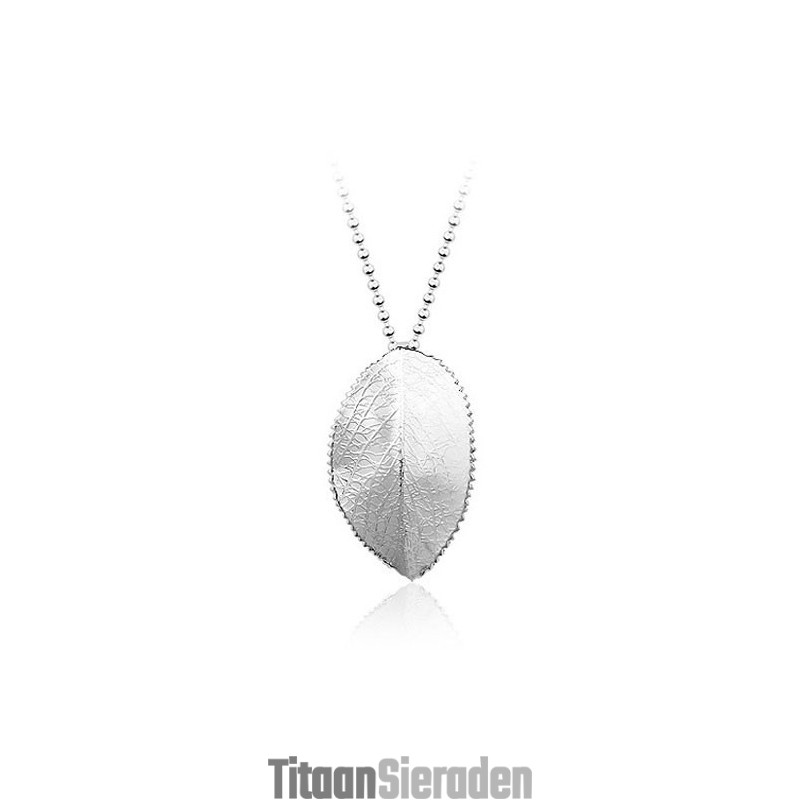Eenvoudige Bladvormige Titanium Hanger Voor Heren - Gratis Ketting