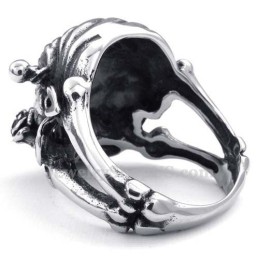 Titanium Schedelring Met Rood Zirkoonoog