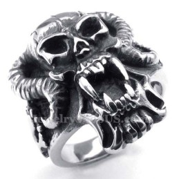 Titanium Schedelring
