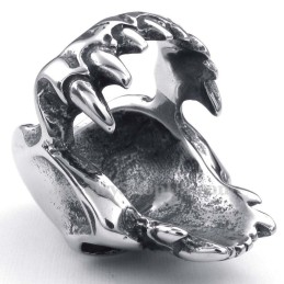 Titanium Schedelring